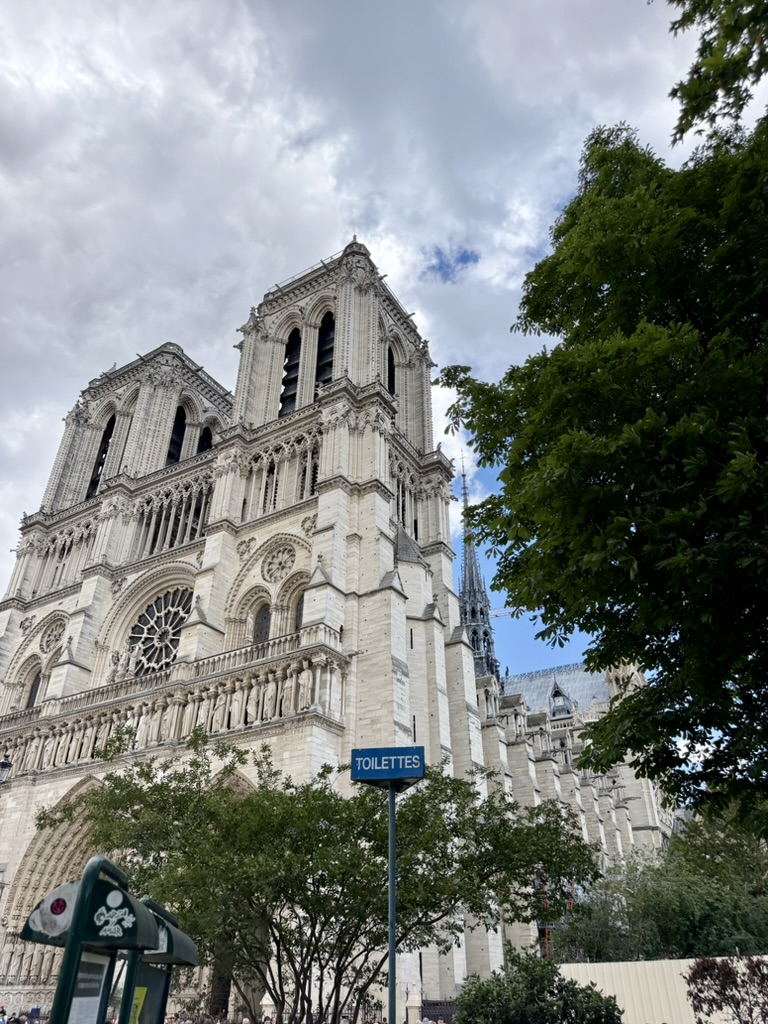 Notre-Dame de París vista entre árboles