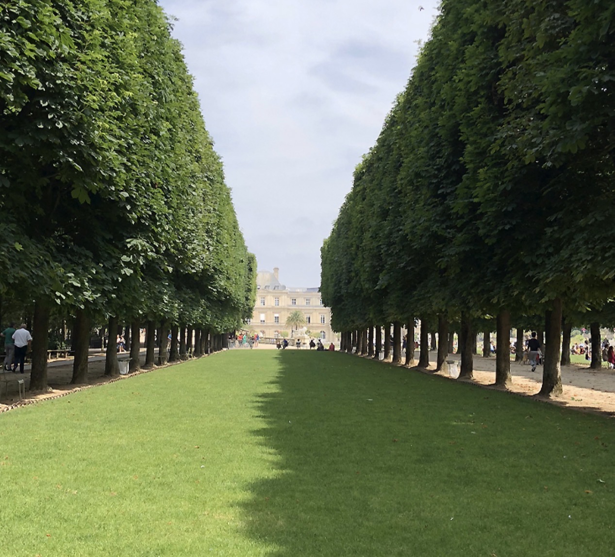 Eje de árboles y césped frente al Palais du Luxembourg